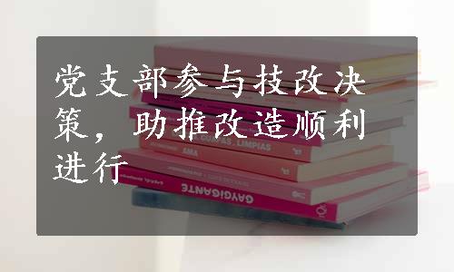 党支部参与技改决策，助推改造顺利进行