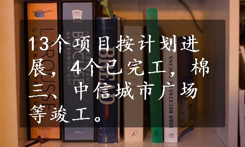 13个项目按计划进展，4个已完工，棉三、中信城市广场等竣工。