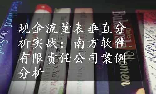 现金流量表垂直分析实战：南方软件有限责任公司案例分析