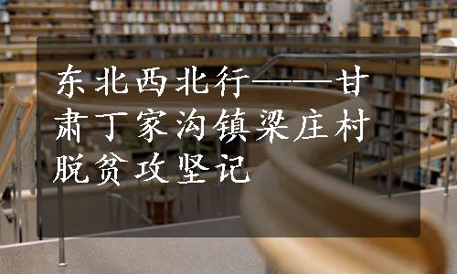 东北西北行——甘肃丁家沟镇梁庄村脱贫攻坚记