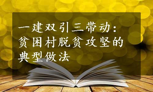 一建双引三带动：贫困村脱贫攻坚的典型做法