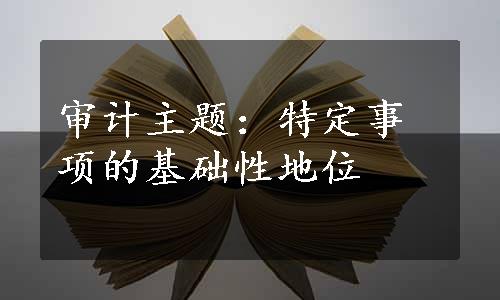 审计主题：特定事项的基础性地位