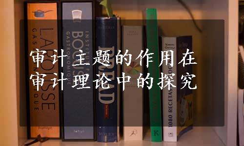 审计主题的作用在审计理论中的探究