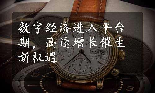 数字经济进入平台期，高速增长催生新机遇