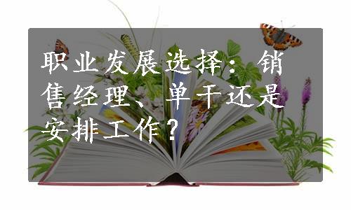 职业发展选择：销售经理、单干还是安排工作？