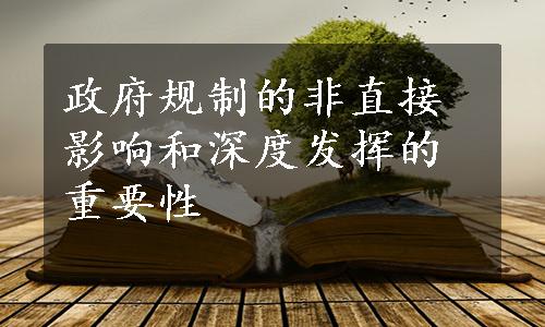 政府规制的非直接影响和深度发挥的重要性