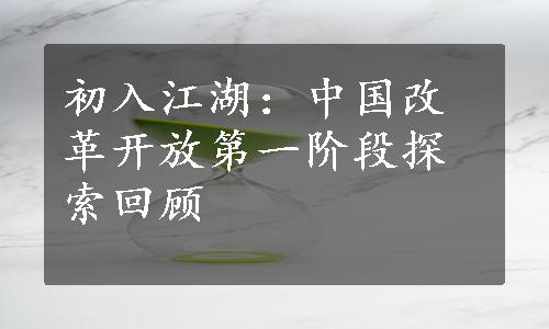 初入江湖：中国改革开放第一阶段探索回顾