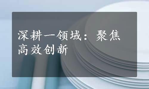 深耕一领域：聚焦高效创新