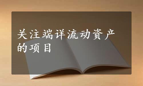 关注端详流动资产的项目