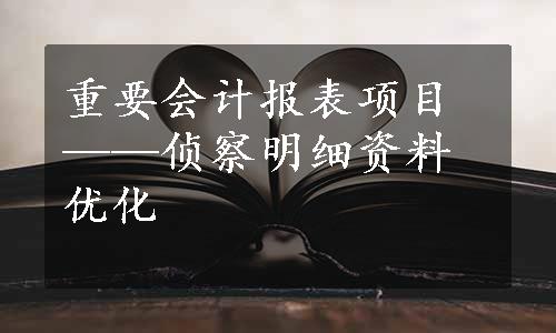 重要会计报表项目——侦察明细资料优化