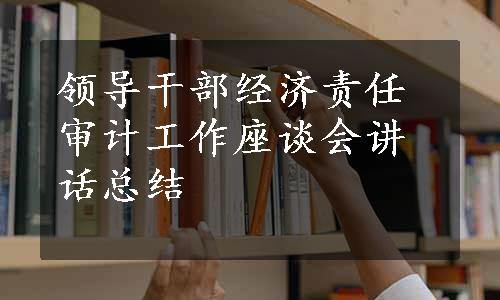 领导干部经济责任审计工作座谈会讲话总结