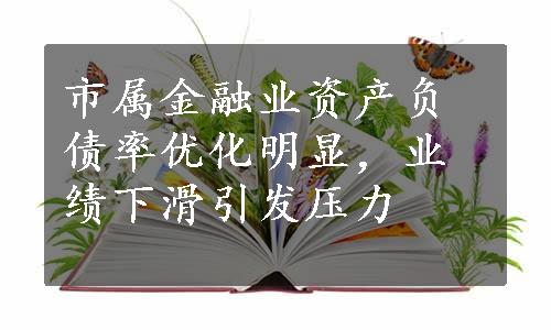 市属金融业资产负债率优化明显，业绩下滑引发压力