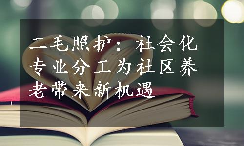 二毛照护：社会化专业分工为社区养老带来新机遇