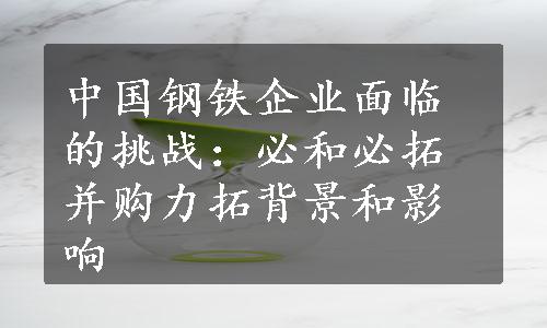 中国钢铁企业面临的挑战：必和必拓并购力拓背景和影响