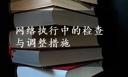 网络执行中的检查与调整措施