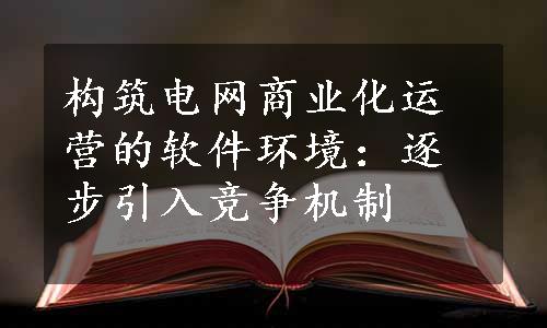 构筑电网商业化运营的软件环境：逐步引入竞争机制