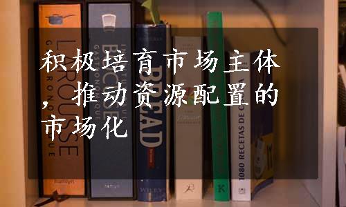 积极培育市场主体，推动资源配置的市场化