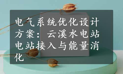 电气系统优化设计方案：云溪水电站电站接入与能量消化