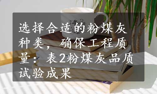 选择合适的粉煤灰种类，确保工程质量：表2粉煤灰品质试验成果