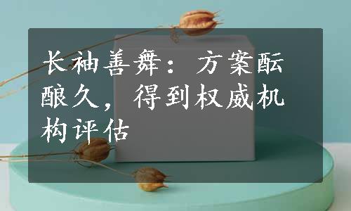 长袖善舞：方案酝酿久，得到权威机构评估