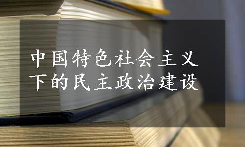 中国特色社会主义下的民主政治建设