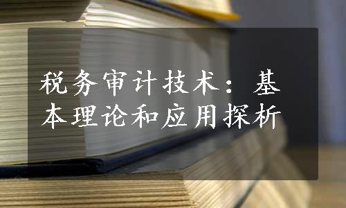 税务审计技术：基本理论和应用探析