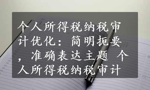 个人所得税纳税审计优化：简明扼要，准确表达主题 个人所得税纳税审计