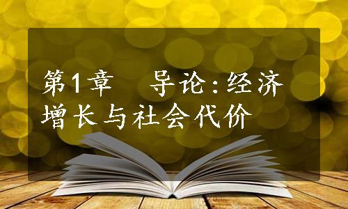 第1章　导论:经济增长与社会代价