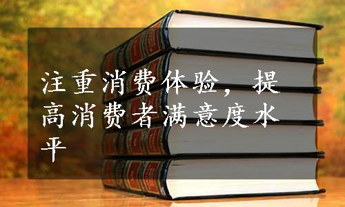 注重消费体验，提高消费者满意度水平