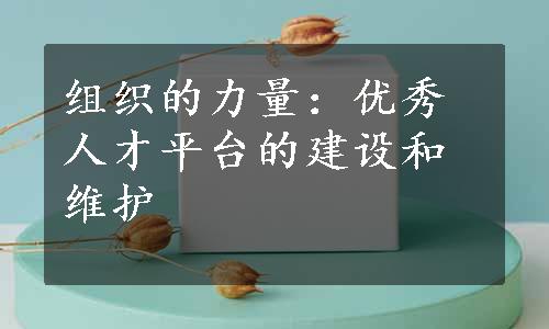 组织的力量：优秀人才平台的建设和维护