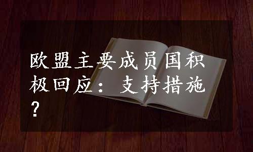 欧盟主要成员国积极回应：支持措施？