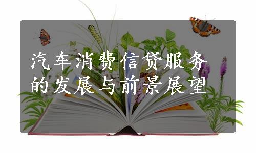 汽车消费信贷服务的发展与前景展望