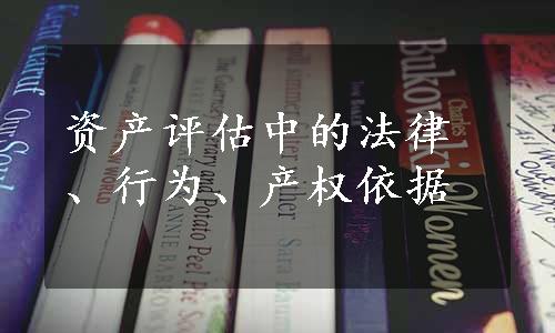 资产评估中的法律、行为、产权依据