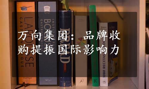 万向集团：品牌收购提振国际影响力