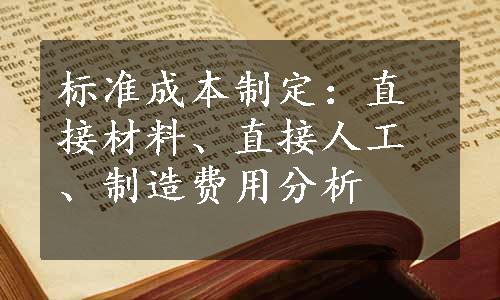 标准成本制定：直接材料、直接人工、制造费用分析