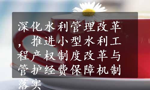 深化水利管理改革，推进小型水利工程产权制度改革与管护经费保障机制落实