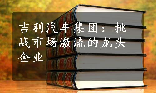 吉利汽车集团：挑战市场激流的龙头企业