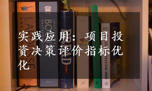 实践应用：项目投资决策评价指标优化