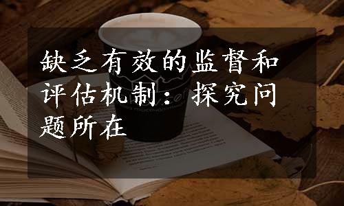 缺乏有效的监督和评估机制：探究问题所在