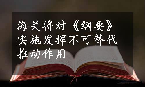 海关将对《纲要》实施发挥不可替代推动作用