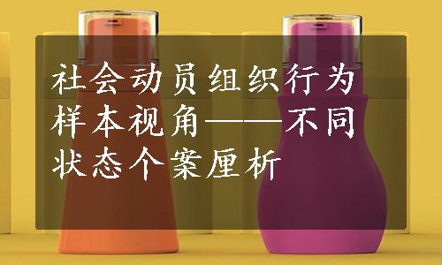 社会动员组织行为样本视角——不同状态个案厘析