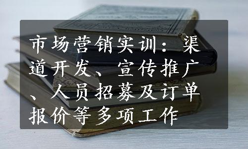 市场营销实训：渠道开发、宣传推广、人员招募及订单报价等多项工作