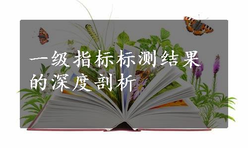 一级指标标测结果的深度剖析