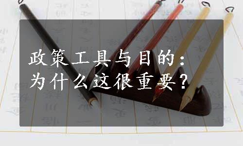 政策工具与目的：为什么这很重要？