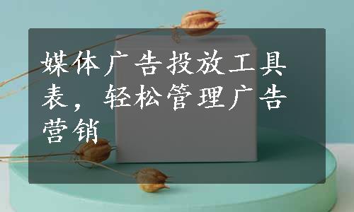 媒体广告投放工具表，轻松管理广告营销