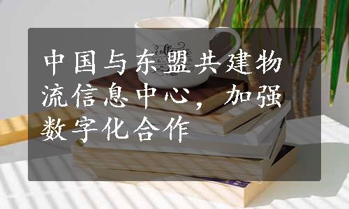 中国与东盟共建物流信息中心，加强数字化合作