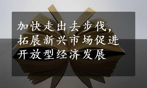 加快走出去步伐，拓展新兴市场促进开放型经济发展