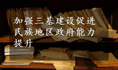 加强三基建设促进民族地区政府能力提升