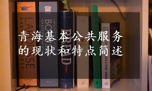 青海基本公共服务的现状和特点简述