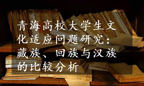 青海高校大学生文化适应问题研究：藏族、回族与汉族的比较分析